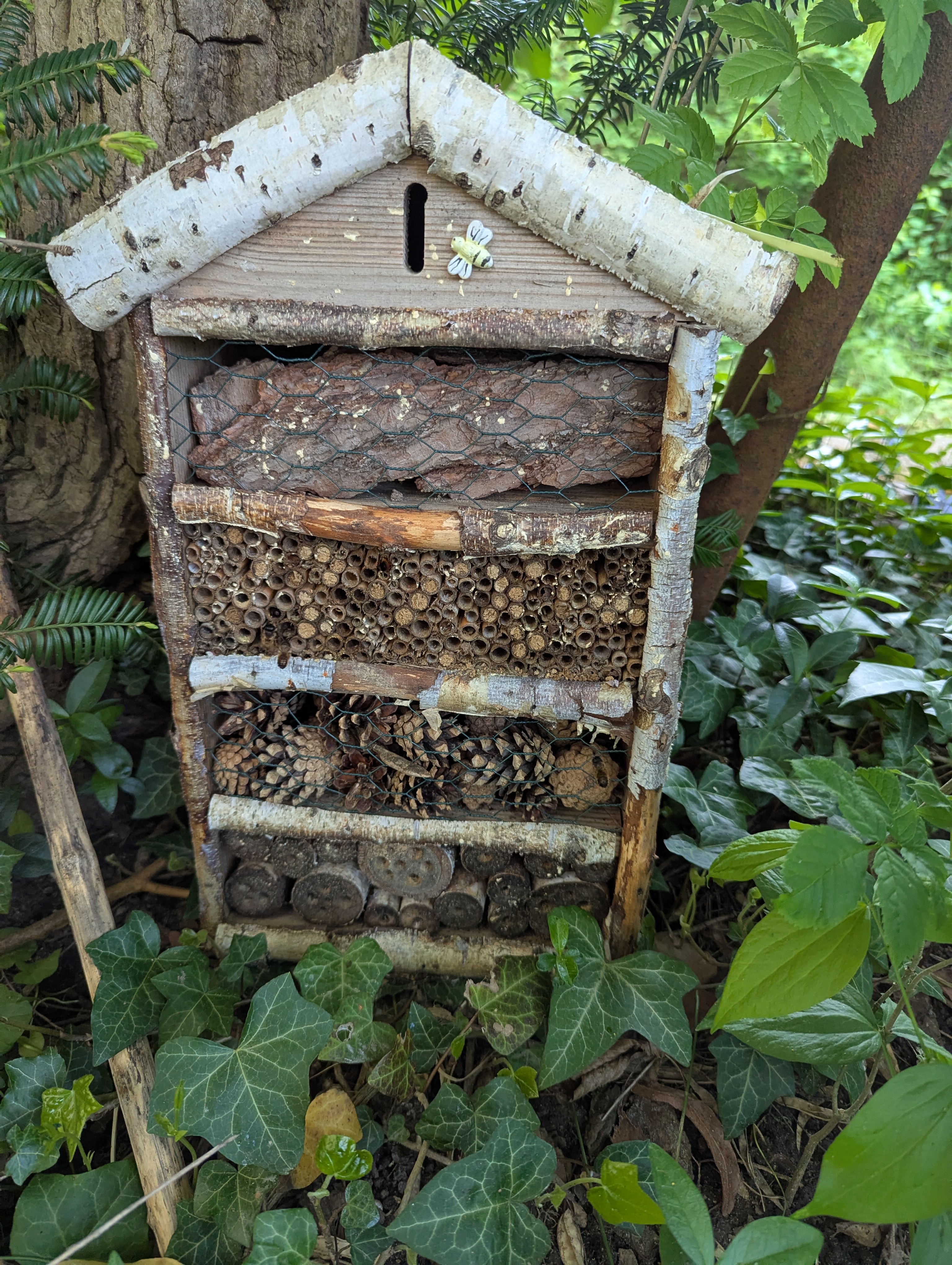 In unser Insektenhotel sind Wildbienen eingezogen !
